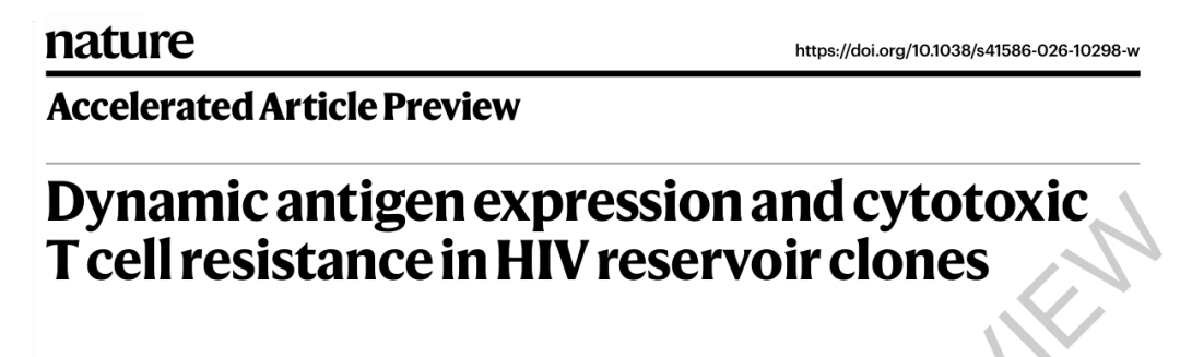 图 | 团队论文：HIV 储库克隆中的抗原动态表达和细胞毒性 T 细胞耐受性（来源：Nature）